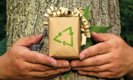 15x De leukste duurzame cadeaus & beste groene cadeautips
